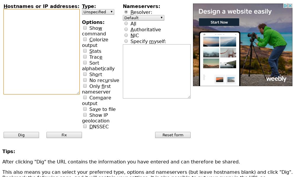 Screenshot of Dig Web Interface